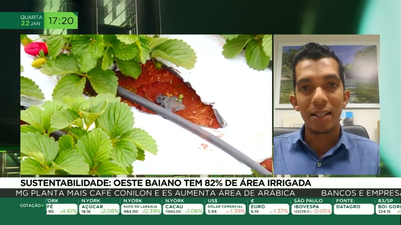 Sustentabilidade: Oeste-Baiano tem 82% de área irrigada