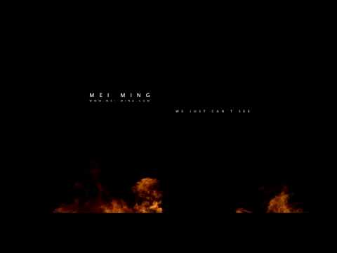 Mei Ming - We Just Can´t See