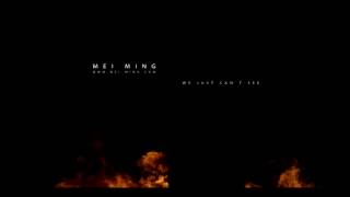Mei Ming - We Just Can´t See
