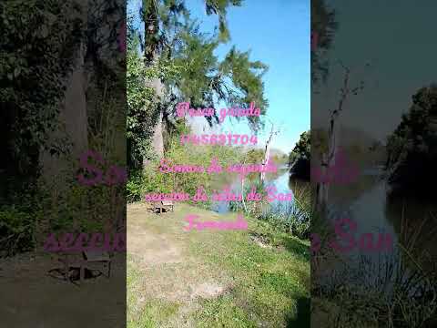 Pesca guiada; Carmelo, Martín García, Martín Chico, Uruguay