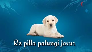 Download lagu Haryanvi Whatsapp status video | Akki Kalyan | Lokesh Gurjar mp3 Download lagu Haryanvi Whatsapp status video | Akki Kalyan | Lokesh Gurjar mp3