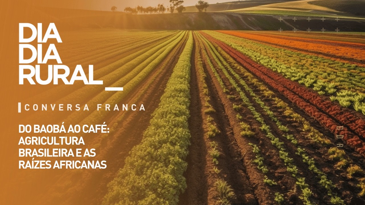 Do Baobá ao Café: agricultura brasileira e as raízes africanas