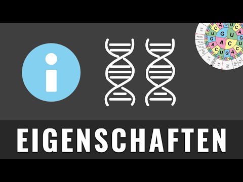 Eigenschaften des genetischen Codes | Drei Eigenschaften | Redundanz | Universell | Biologie Abitur