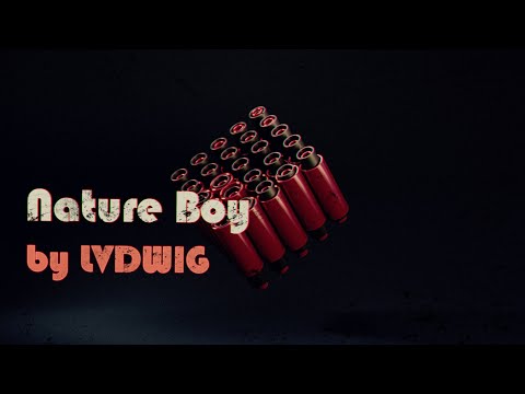 LVDWIG - Nature Boy (Nat King Cole Epic Cover)