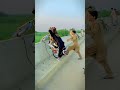 Pakistani One Wheeler Boyz Life Shorts One Wheeling Bikeshorts Bike