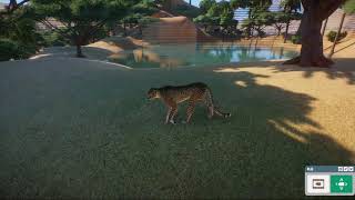 Planet Zoo チーターを眺める動画＋ゾウ
