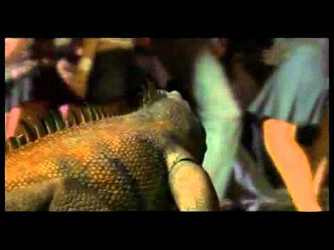 Rogue Traders Vs Inxs One Of My Kind mpg.mpg