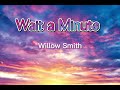 Willow Smith Wait a Minute-TikTok remix-1 hour long