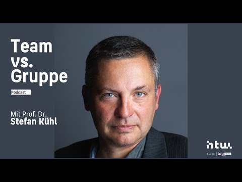 Team vs. Gruppe - Im Gespräch mit Stefan Kühl
