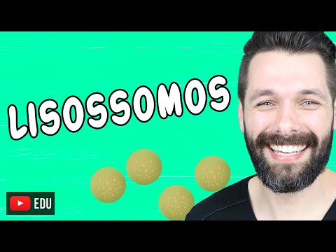 LISOSSOMOS E DIGESTÃO CELULAR - Citologia | Biologia com Samuel Cunha