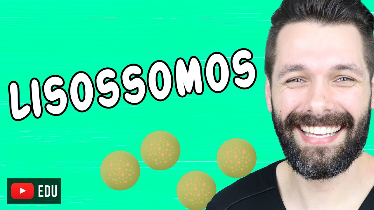LISOSSOMOS E DIGESTÃO CELULAR - Citologia | Biologia com Samuel Cunha