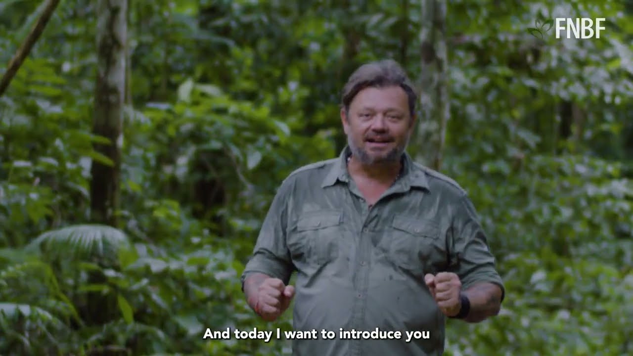 Manejo Florestal - Alta Floresta MT