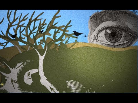 Giacomo Lariccia - Quanta strada - Videoclip