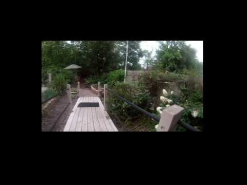 Ion 1011L Air Pro Lite Wi-Fi Camera