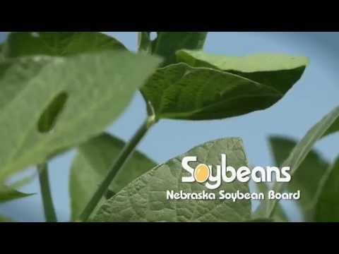 Market Journal - June 27, 2014 (full episode)