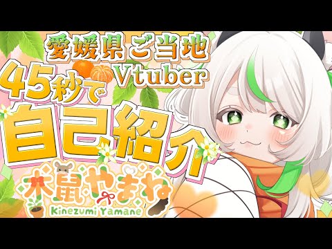 【自己紹介】45秒でわかる！愛媛県ご当地Vtuber『木鼠やまね』