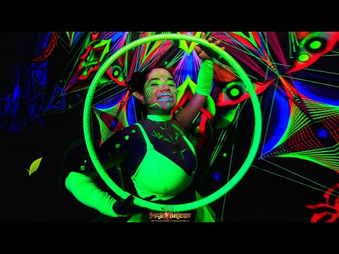 📽 VLOG NA RAVE: Psycodelicos vs Pessegodelia 2022 (Curitiba/PR)