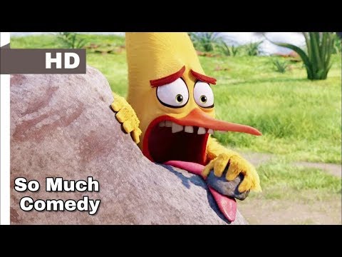 The Angry Birds Funny scene in Hindi | The Angry Birds funny scene | The Angry Birds | Angry Birds |
