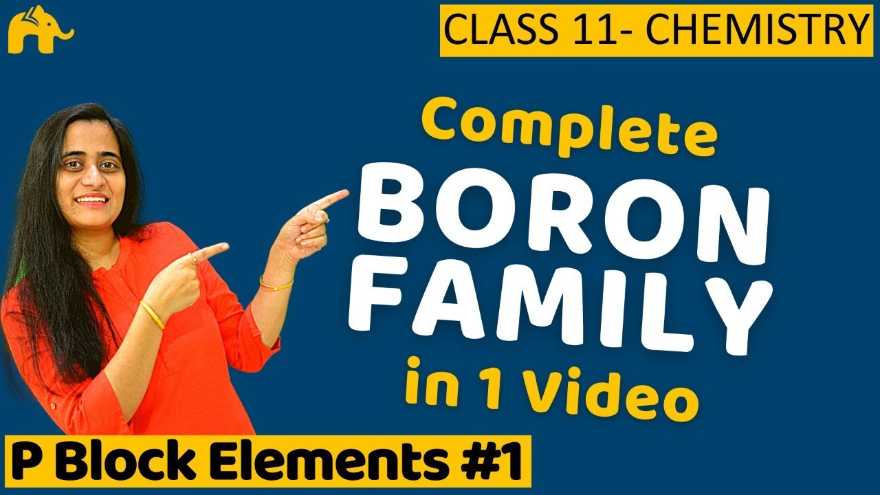 P block elements class 11 - Boron Family | One Shot Hindi | JEE CBSE NCERT NEET