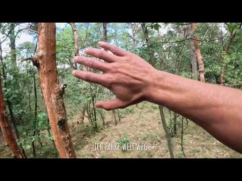 Sam Sillah - KOKON | Visualizer