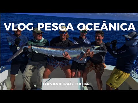 VLOG PESCARIA DO MARLIN AZUL EM CANAVIEIRAS 