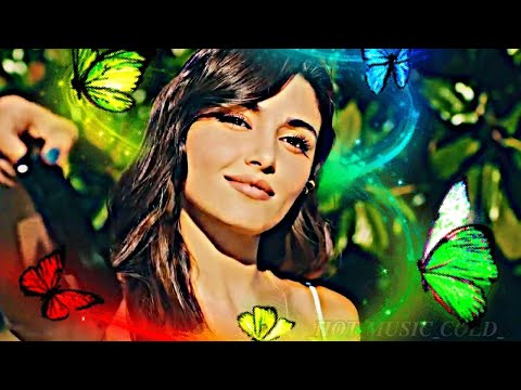 Eda Yildiz •Circus