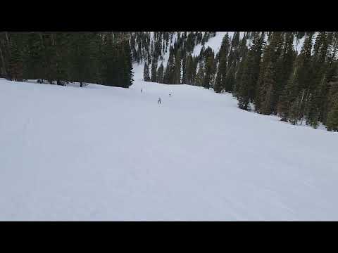 Avery flying down diamond runs 02/04/23