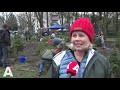 Kerstbomen weer 'vrijgelaten' in Noord