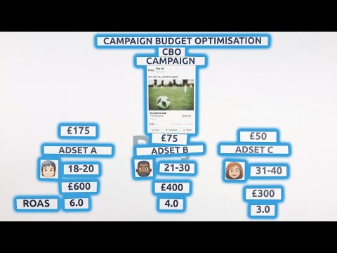 Ditly Limited video.