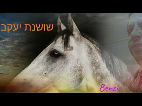 Benzi - 🔥שושנת יעקב  (Official music Video) / 🔥 Track 2