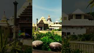 Puri Jagannath mandir New Reels!!Sambalpuri Status