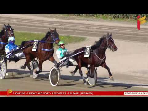 III Corsa del 4 febbraio 2023 - 3 Anni - Metri 1600 - Gara centrale