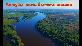 Ссылка