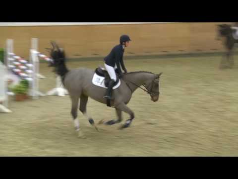 119. Cermit v. Cormint - Caretino