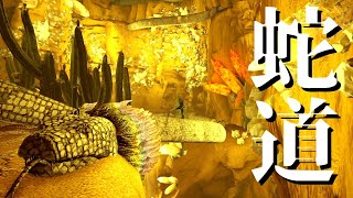 【ARK】ヘビの道を渡ったり神のいる洞窟に行ったりダンジョン盛り沢山Part32【ゆっくり実況】