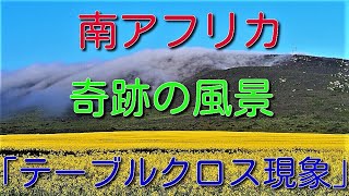 【南ア ケーシーチャンネル】奇跡の光景　～ケーブルクロス現象～