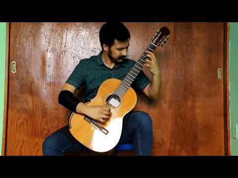 Musette - Silvius Leopold Weiss