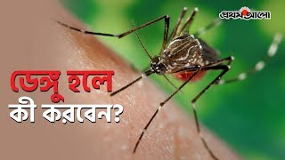ডেঙ্গু হলে কী করবেন?