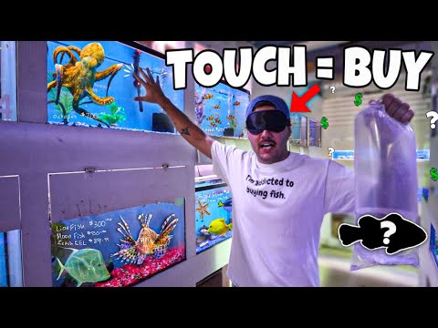 SALTWATER FISH SHOPPING SPREE BLINDFOLDED!! (new fish)