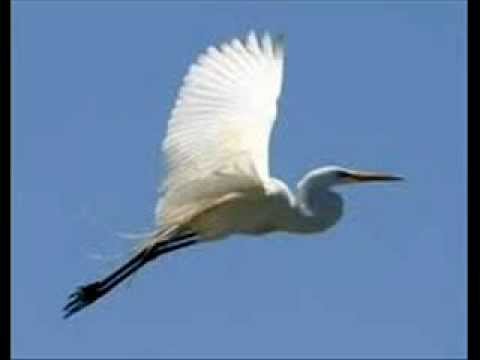 FG  La Garza - Luis Lozada El Cubiro