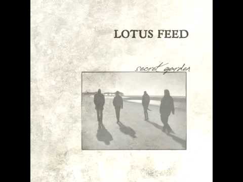 LOTUS FEED - Second time