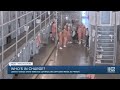 Newly Leaked Florence Arizona Prison Video Shows Inmates Trap Officers In Stairwell