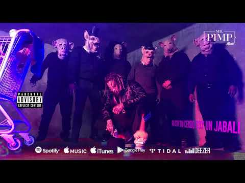 Mr.Pimp - DamePapaya (Lyric Video)