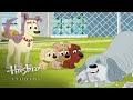 Pound Puppies Niblet Says Clip 4