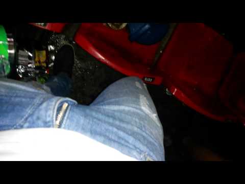 Cheerleaders Predadoras