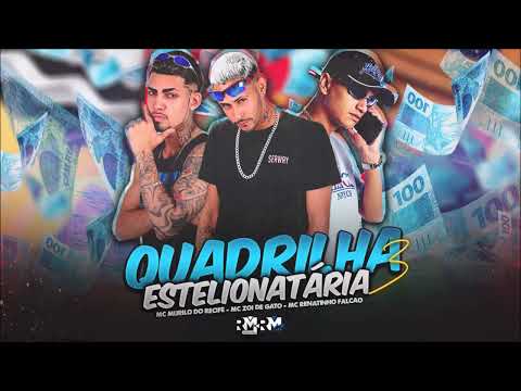 MC MURILO DO RECIFE, MC ZOI DE GATO, MC RENATINHO FALCÃO - QUADRILHA ESTELIONATÁRIA 3