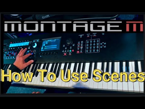 Yamaha Montage M (M8x) Scenes Overview