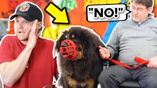 How to train the most AGGRESSIVE dogs in the world! Training dogs with a BITE history!