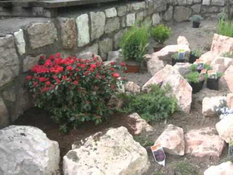 CREAZIONE GIARDINO ROCCIOSO