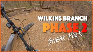 SNEAK PEEK! Wilkins Branch Phase 2 - Leipers Fork, Tennessee